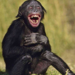 5 Gangsta Monkeys Jumping on da bed- feet NateDawg