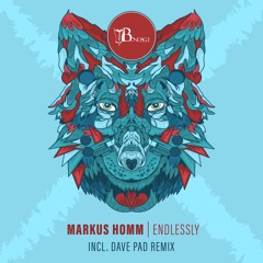 Markus Homm - Endlessly (Dave Pad Remix)