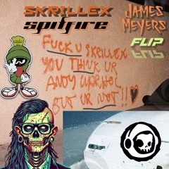 Skrillex - Spitfire (James Meyers Flip)