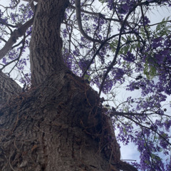 thoughts (freestyle)