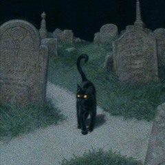 in the dead of night