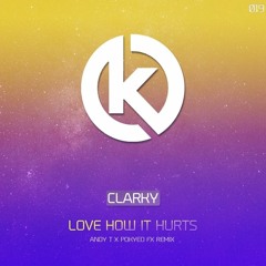 Clarky - Love How It Hurts - Andy T & PoKy3o FX Remix  - Sample