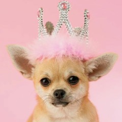 ...let me fuck u hard in the pouring rain