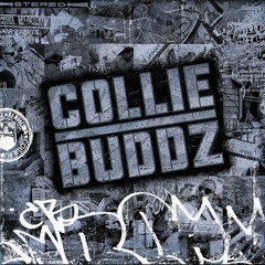 Collie Buddz - Come Around (Osix DnB Bootleg) [Free Download]