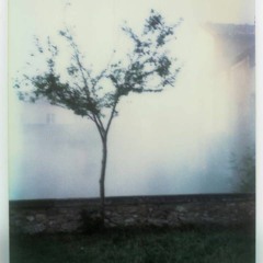 August 2k21 Samples [w/ Wisse!]