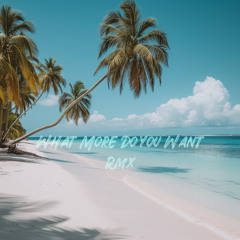 Xway & Bway (What More Do You Want Rmx)