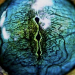 Despair (or is it hope?)