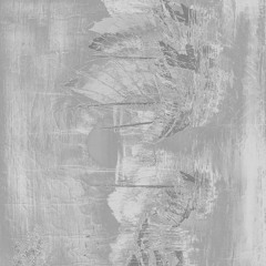 Vingis Tribe - 01
