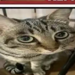 nintendo switch (prod. KNOX XO)