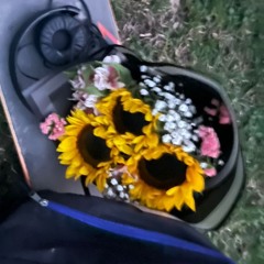 polos [non-canon] (prod.by GrowBeats)