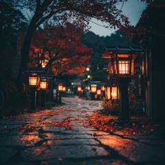 秋灯りの道