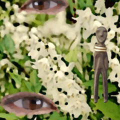 Deutzia in full white-naviarhaiku621