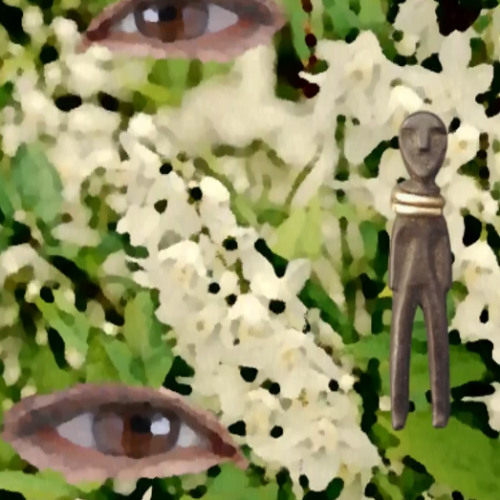 Deutzia in full white-naviarhaiku621