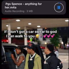 PGS- Anything for her