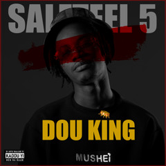 Saleteel 5 (Dou King)