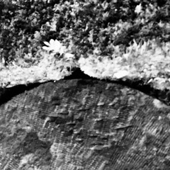 Jagged Edges Of Destiny