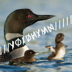 Loons (aka Music For Ferns and Mosses, Live @ Porchfest 2025 w/Citizen Science)