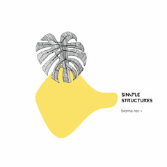 [ BIO0021 ] Simple Structures EP by Mizzy TheCosmic( included remixes by Leopold and Caio Schmitz)