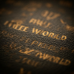 Free World  - Sunshine