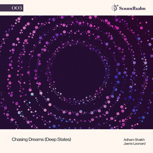 Chasing Dreams (Deep States), Pt. 5 (Instrumental)