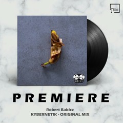 PREMIERE: Robert Babicz - Kybernetik (Original Mix) [DIRTCUTS]