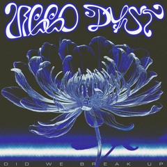 SNFDIGI033 // Viggo Dyst - Did We Break Up EP