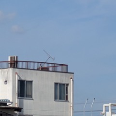 パンプルムース