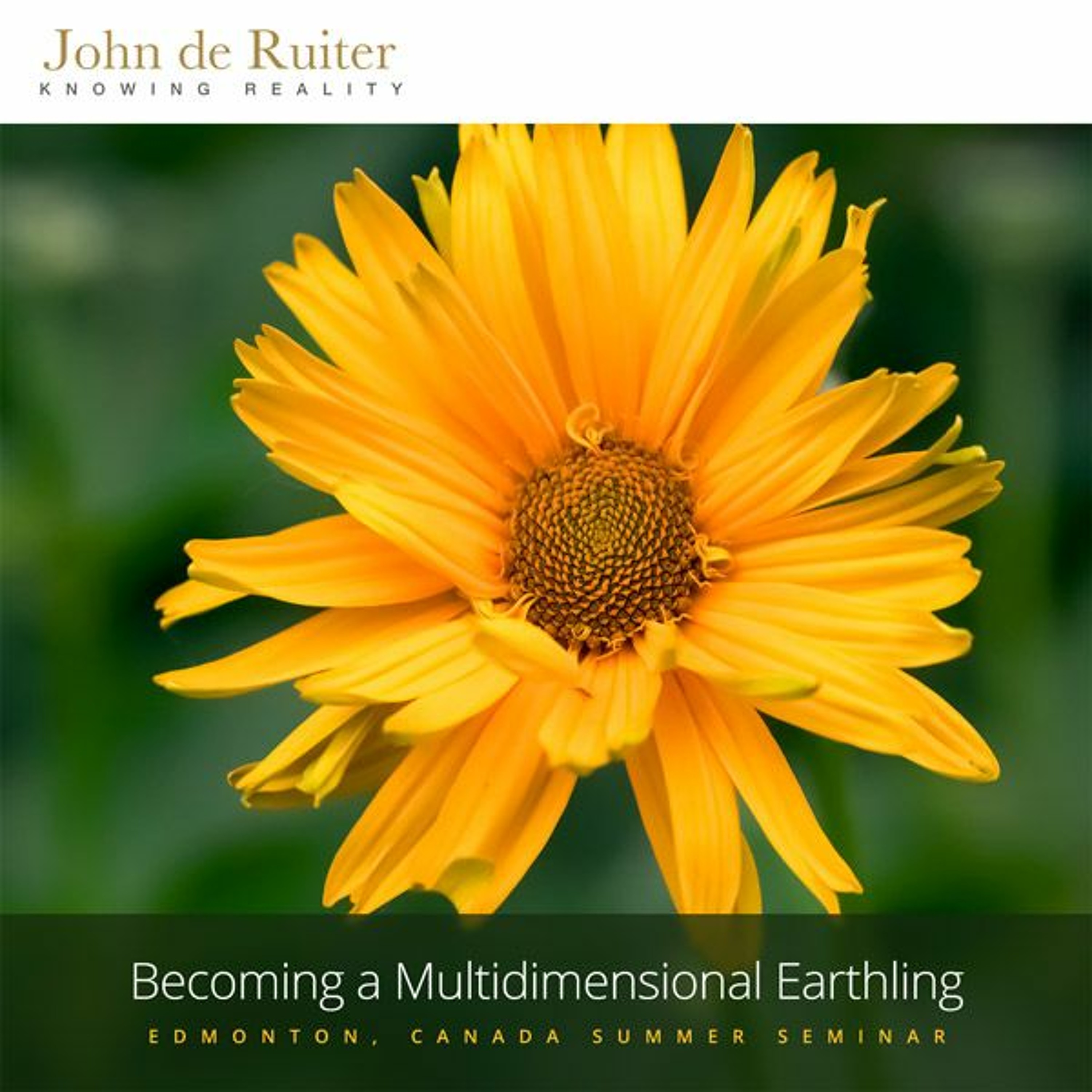 309 - Becoming a Multidimensional Earthling - 1 of 2 episode artwork