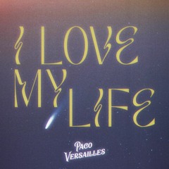 I Love My Life (Vandelux Remix)