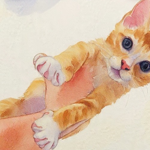 Johnny Lugo Session sets #2