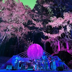 SATURN (LIVE AT CEDAR BLOOM)