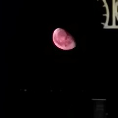 tu ed io acustica-thasup