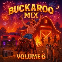 Buckaroo Mix Vol. 6
