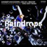 Raindrops - Sander Vann Doorn x Selva x Macon (KIND HART REMIX) Ft. Chacel