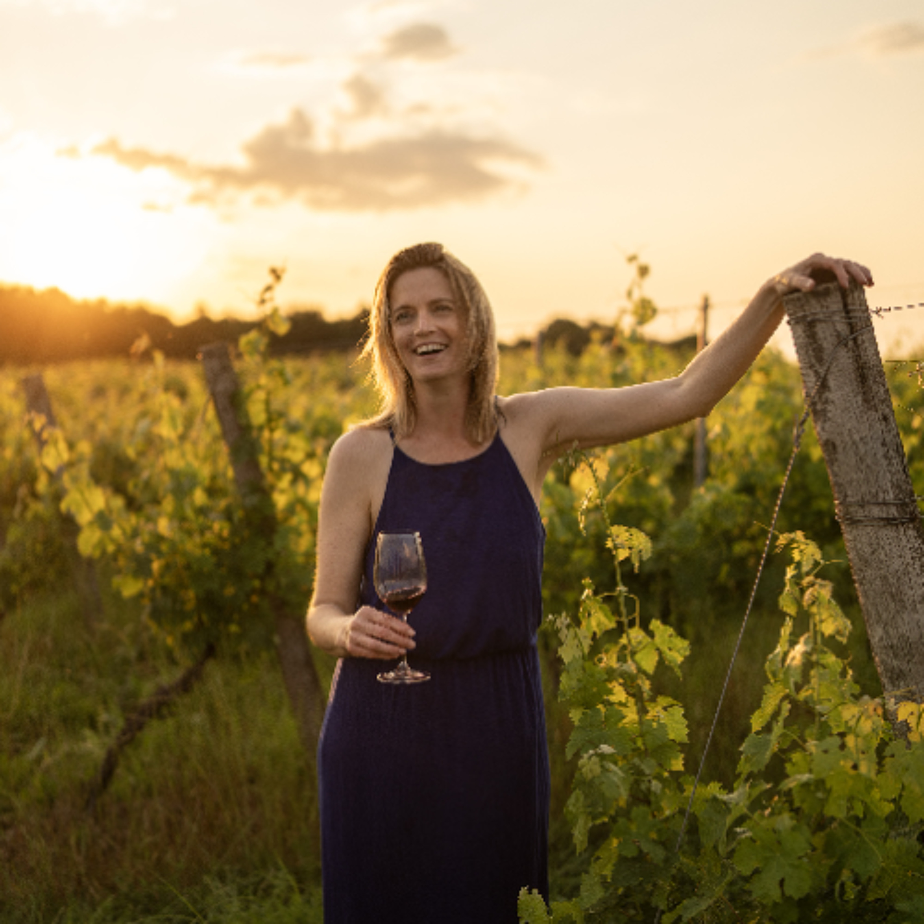 Episode 245 - Stephanie Rivin, French Blue Wine episode artwork