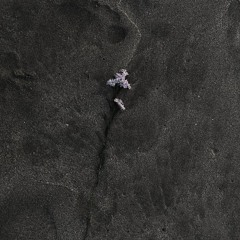 25725–letters to…