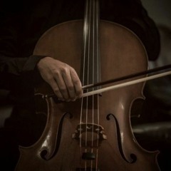 aurora - runaway (joel sunny dramatic violin ver )