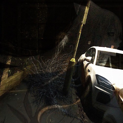 diduevencare (death)