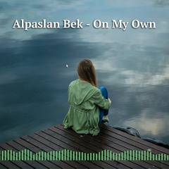 Alpaslan Bek - On My Own