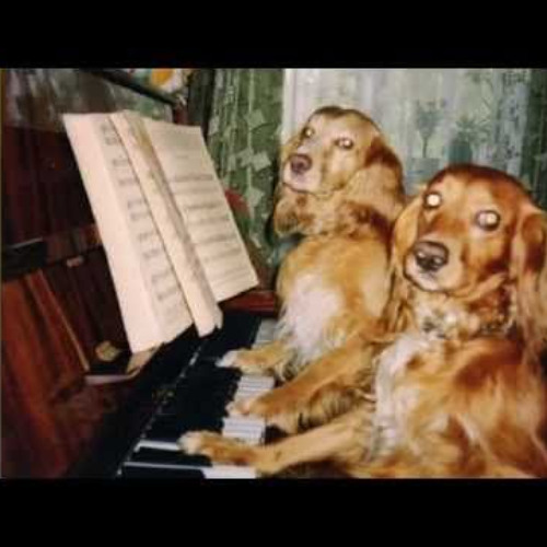 Собачий вальс