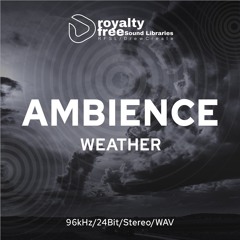 Heavy Rain Hitting Overhead Shelter DrewCreate Royalty Free Sound Libraries RFSL 0103.WAV