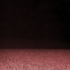 day 25 - muse(ik) w spookyg