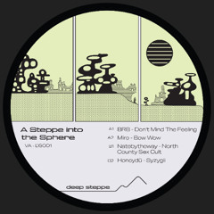 VA - A Steppe Into The Sphere (DS001) - CLIPS
