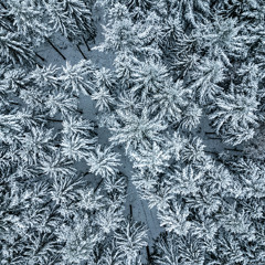 A Woman Of Many Chimes (update)