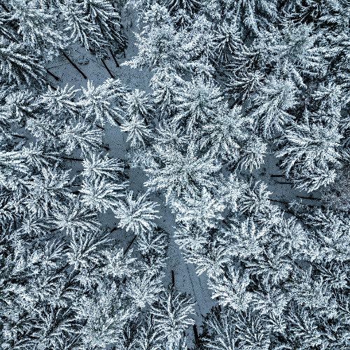 A Woman Of Many Chimes (update)