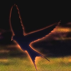 twin*freestyle wthe2high (the2high)