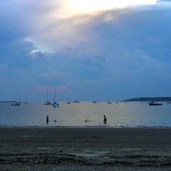 The weeping cherry tree