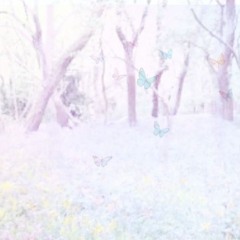 sunsetlightharveststhenightsky