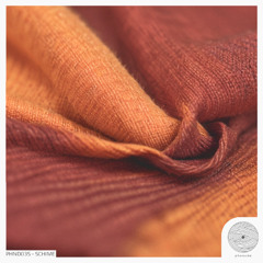 PREMIERE: Schime - Közös emlék [Phonoda Records]