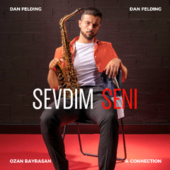 Sevdim Seni